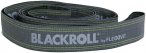 Blackroll Resist Trainingsband (Größe ONE SIZE, grau)