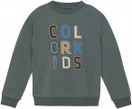 Color Kids Kinder Logo Print Pullover (Größe 110, gruen)