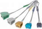 DMM Wallnuts Set (Größe 7-11)