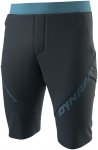 Dynafit Herren 24/7 Track Shorts (Größe XL, blau)