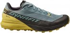 Dynafit Herren Ultra GTX Schuhe (Größe 41, blau)