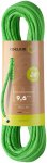 Edelrid Tommy Caldwell Eco Dry Dt 9,6mm Kletterseil (Größe 80M, gruen)
