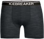 Icebreaker Herren Anatomica Boxer (Größe XXL, schwarz)