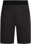 La Sportiva Herren Flatanger Shorts (Größe XXL, grau)