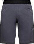 La Sportiva Herren Helixir Shorts (Größe XL, grau)
