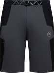 La Sportiva Herren West Crest Shorts (Größe S, grau)