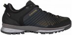 Lowa Herren Carezza GTX Lo Schuhe (Größe 44.5, grau)
