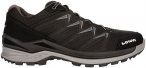 Lowa Herren Innox Pro GTX Lo Schuhe (Größe 46, schwarz)