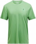 Peak Performance Herren Delta T-Shirt (Größe S, gruen)
