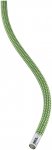 Petzl Contact Wall 9.8 Kletterseil (Größe 40M, gruen)