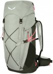 Salewa Alp Trainer 35+3 Rucksack (Größe 35+3L, grau)