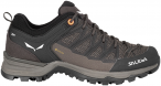 Salewa Damen MTN Trainer Lite GTX Schuhe (Größe 38.5, braun)