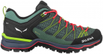 Salewa Damen MTN Trainer Lite GTX Schuhe (Größe 40.5, gruen)