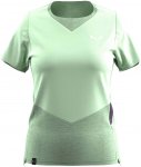 Salewa Damen Pedroc Dry Wind T-Shirt (Größe XL, gruen)