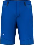 Salewa Herren Agner Dst Shorts (Größe L, blau)