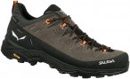 Salewa Herren Alp Trainer 2 GTX Schuhe (Größe 40.5, braun)