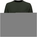 Salewa Herren Fanes Dry Pullover (Größe S, gruen)