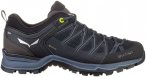 Salewa Herren MTN Trainer Lite GTX Schuhe (Größe 40, schwarz)