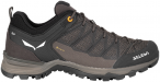 Salewa Herren MTN Trainer Lite GTX Schuhe (Größe 41, braun)
