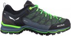 Salewa Herren MTN Trainer Lite GTX Schuhe (Größe 42, gruen)