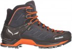 Salewa Herren MTN Trainer Mid GTX Schuhe (Größe 44, grau)