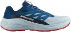 Salomon Herren Alphaglide Schuhe (Größe 41 , blau)
