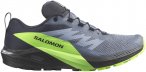 Salomon Herren Sense Ride 5 GTX Schuhe (Größe 46.5, grau)