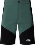 The North Face Herren Felik Slim Tapered Shorts (Größe L, gruen)