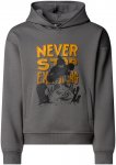 The North Face Kinder Sports Oversized Graphic Hoodie (Größe 124 , grau)