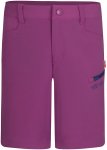 Trollkids Kinder Haugesund Shorts (Größe 158, lila)