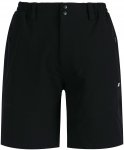 Whistler Herren Avian Shorts (Größe XXL, schwarz)