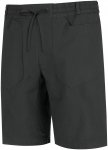 Wild Country Herren Flow Shorts (Größe L, grau)